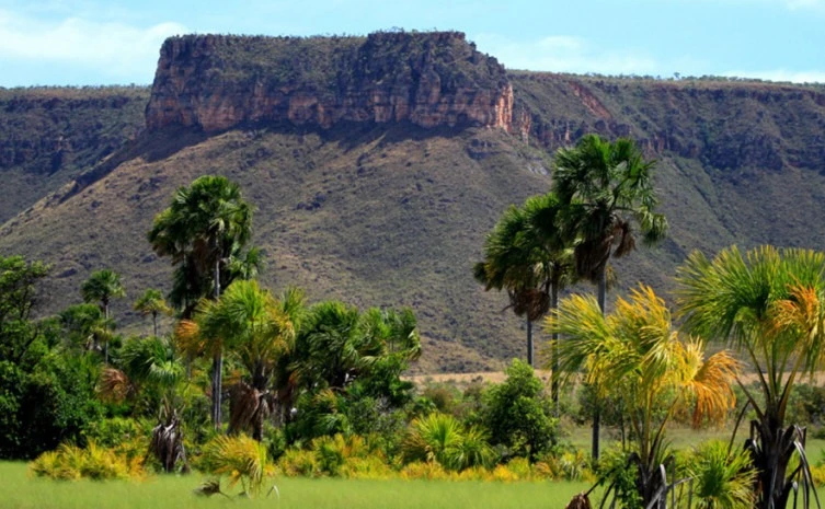 Tocantins se torna líder nacional em sustentabilidade