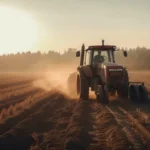 Tocantins é destaque no agronegócio brasileiro