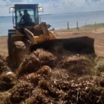 Praia do Prata e quadras residenciais de Palmas recebem serviço de retirada de entulhos e remoção de terra